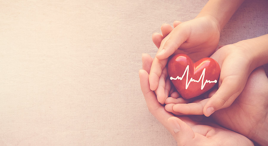 red heart decoration with heartbeat lines, holding by hands of child and parent