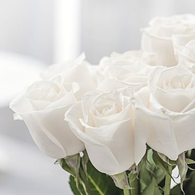 Up to HK$1,500,000 cash accident death benefit.