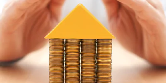 Person, Human, Money