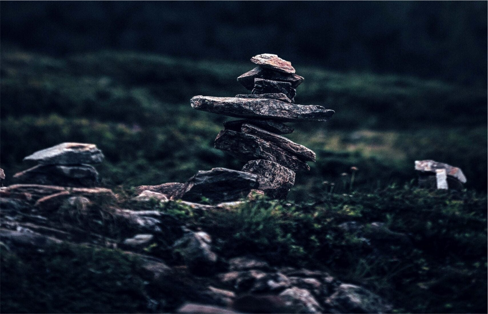 用於SC Wealth Select五大財富管理指導原則 - 風險與回報