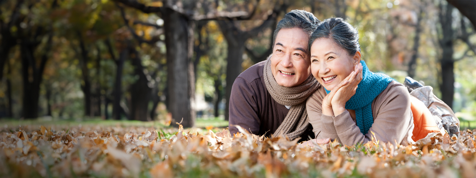 Hk silverbond banner 